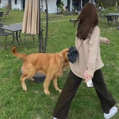 通向地狱的后门