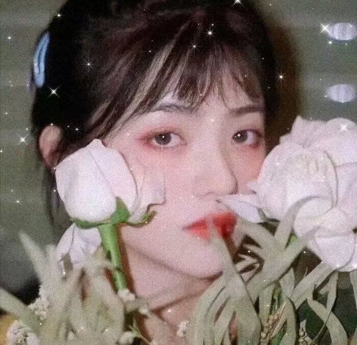 血教育